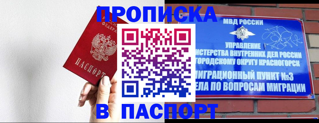 временная регистрация госуслуги в Благовещенске